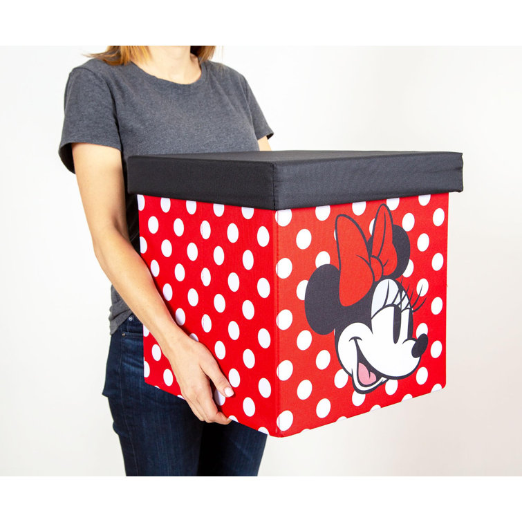 Mickey mouse sale storage bin